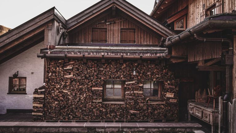 Bois de chauffage : noisetier, avantages, utilisations et conseils