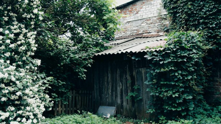 Abri de jardin en béton cellulaire : prix, avantages et conseils de construction