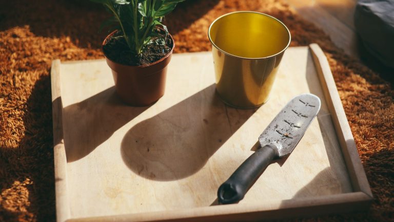 Dosage bouillie bordelaise : comment traiter les maladies des plantes